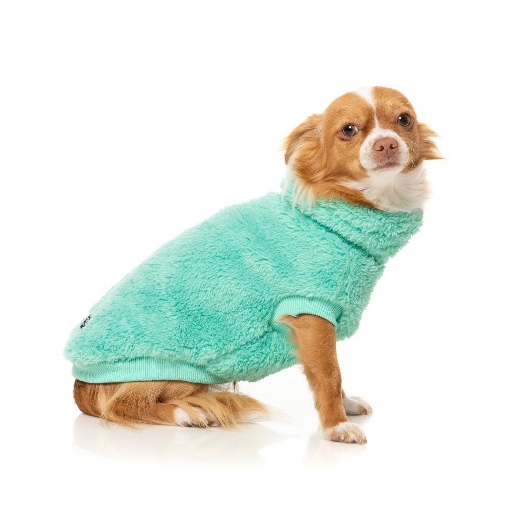 Tartaruga Teddy Teal