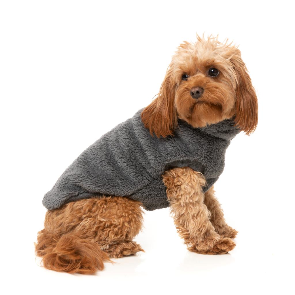 Tartaruga Teddy Charcoal