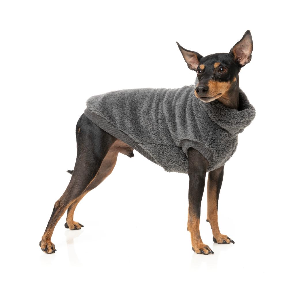 Tartaruga Teddy Charcoal