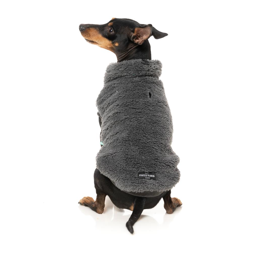 Tartaruga Teddy Charcoal