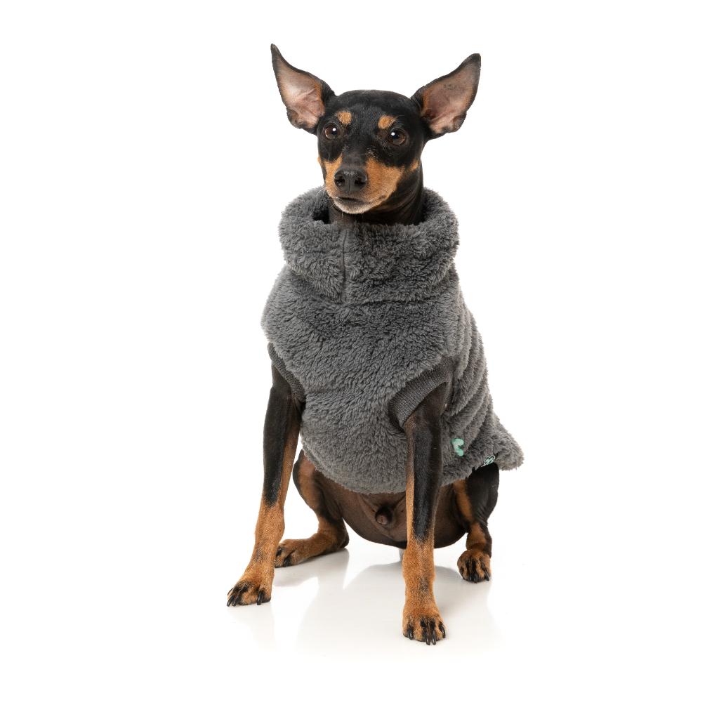 Tartaruga Teddy Charcoal