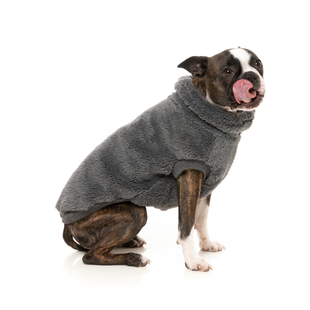 Tartaruga Teddy Charcoal