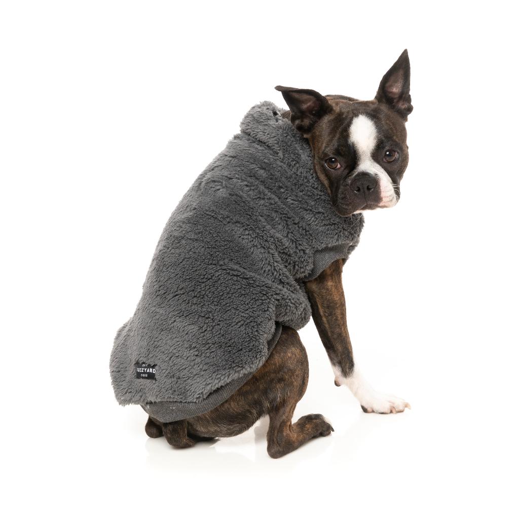 Tartaruga Teddy Charcoal