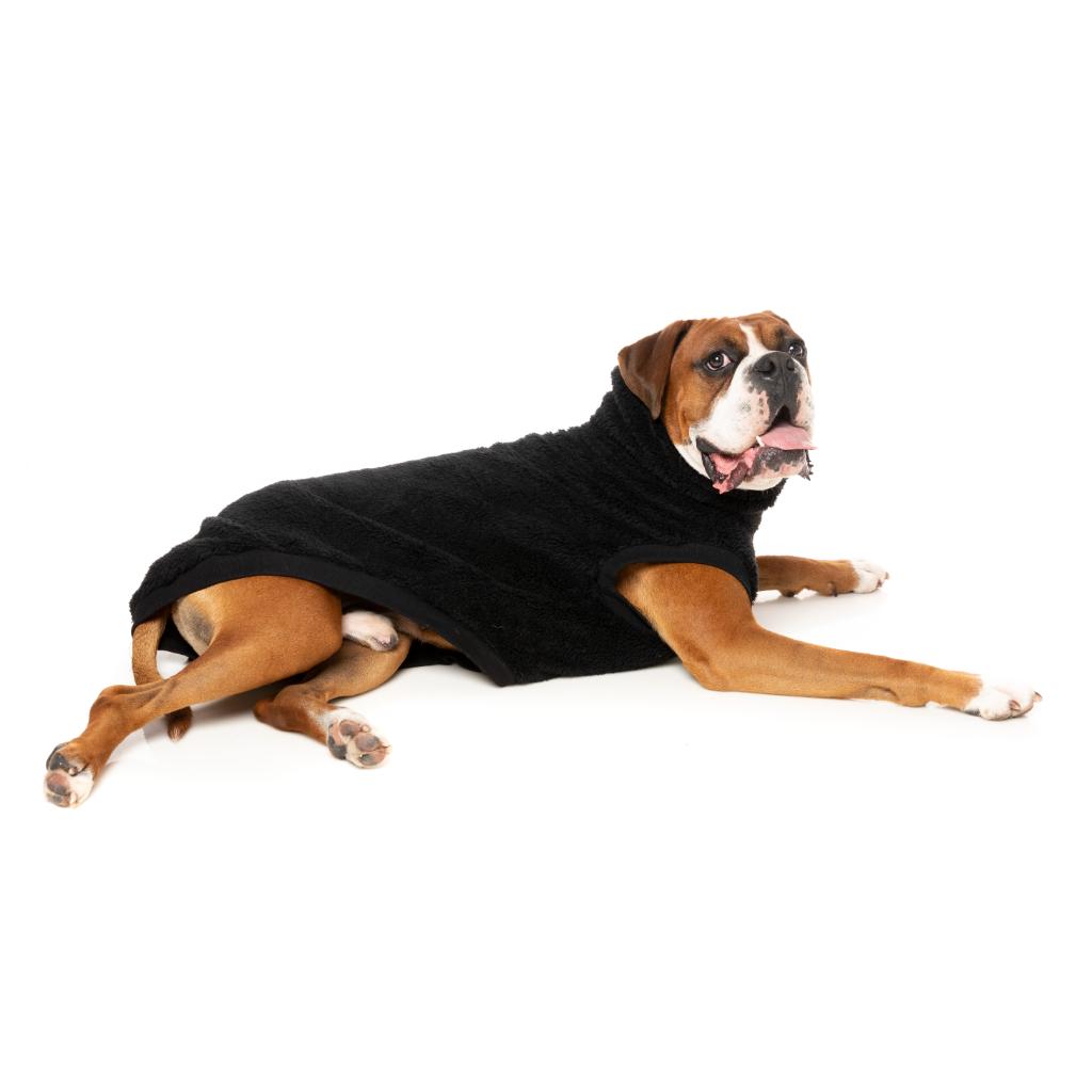 Tartaruga Teddy Nero