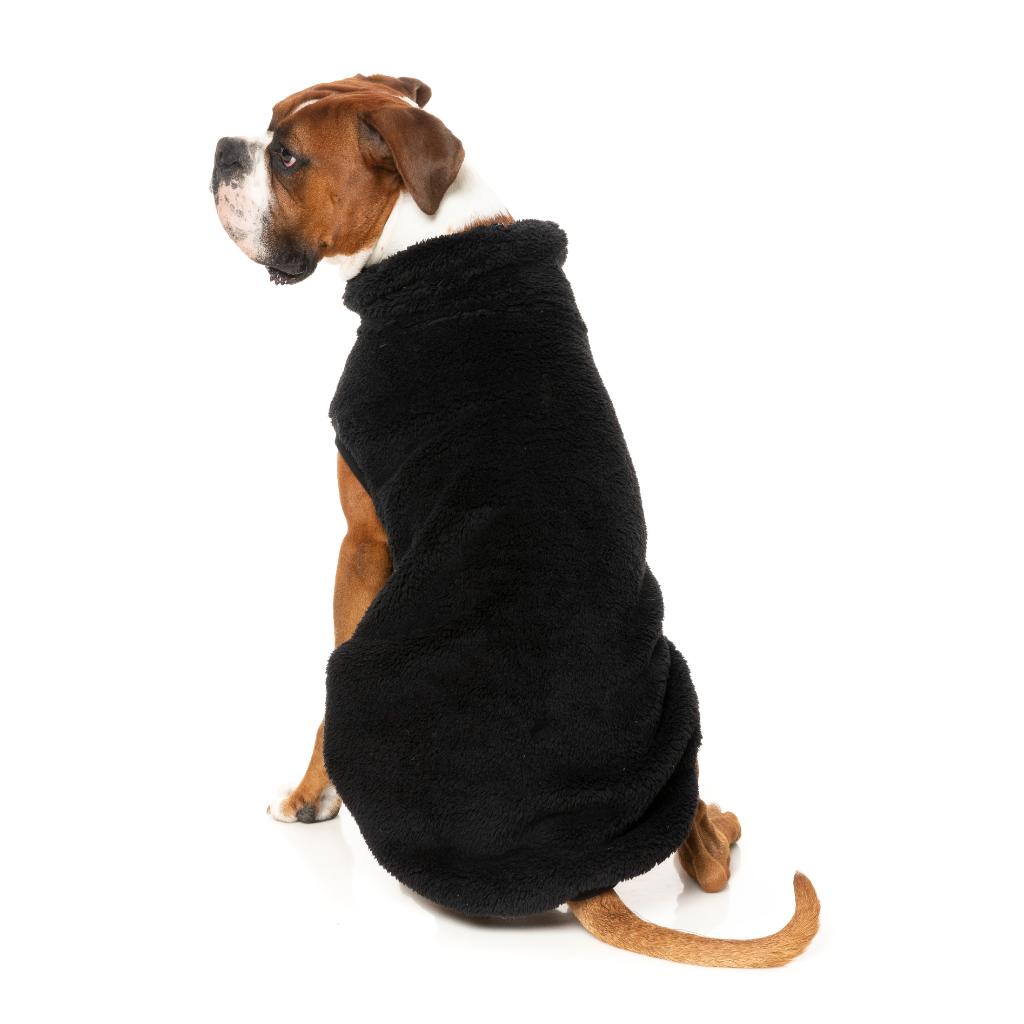Tartaruga Teddy Nero