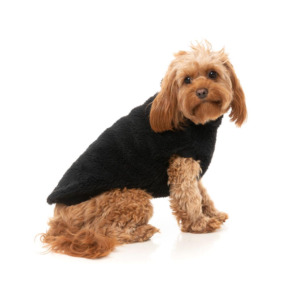Tartaruga Teddy Nero