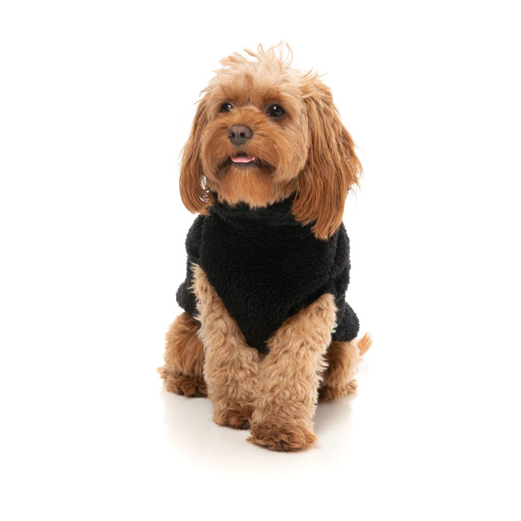 Tartaruga Teddy Nero
