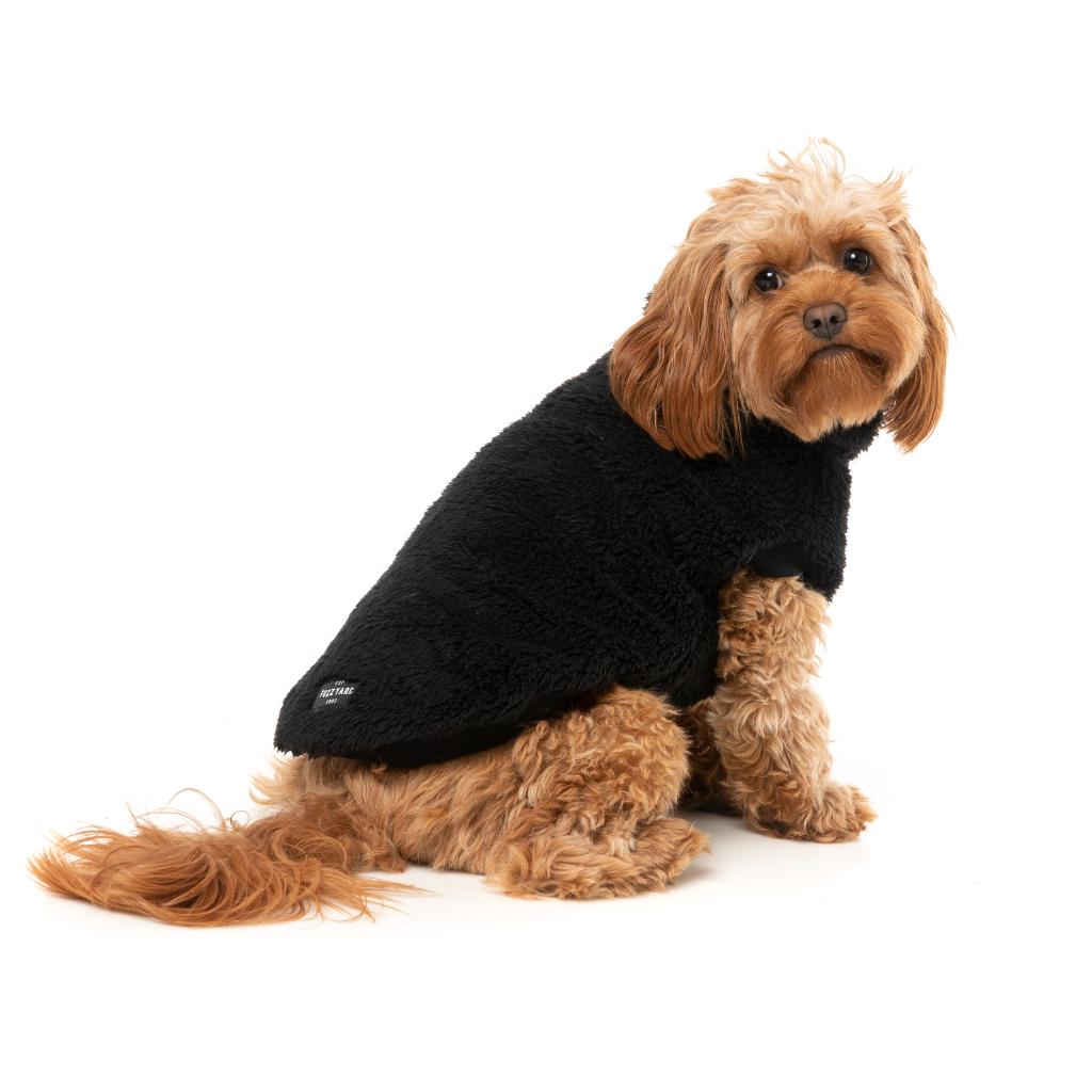 Tartaruga Teddy Nero