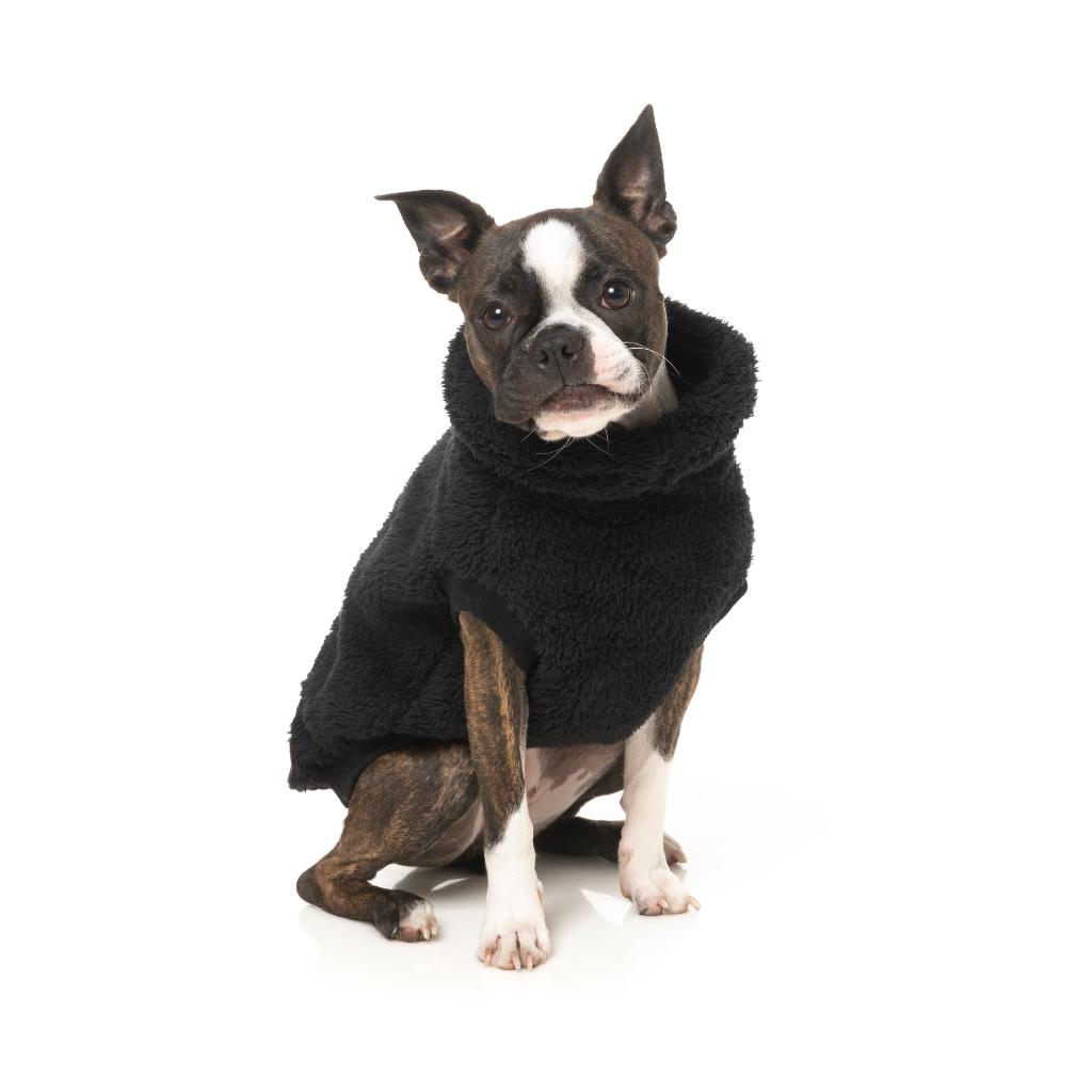 Tartaruga Teddy Nero