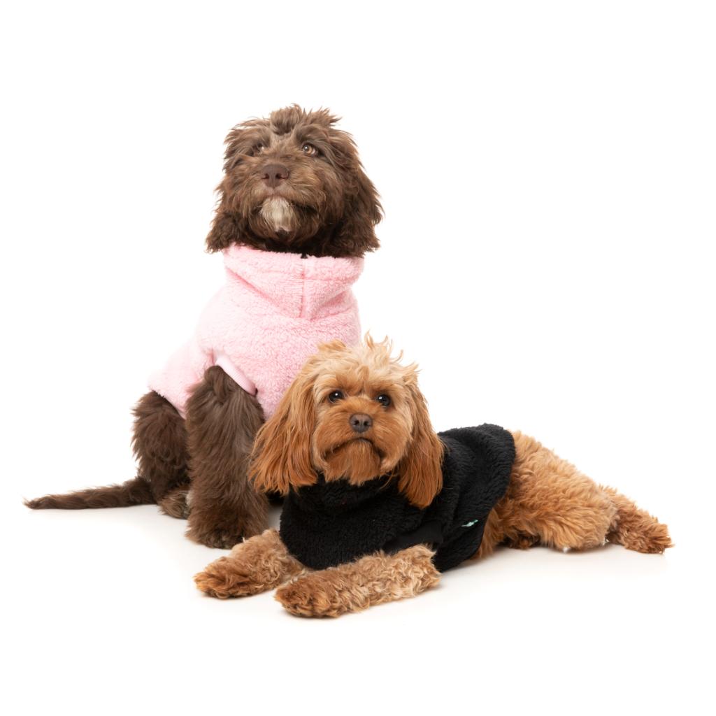 Tartaruga Teddy Nero