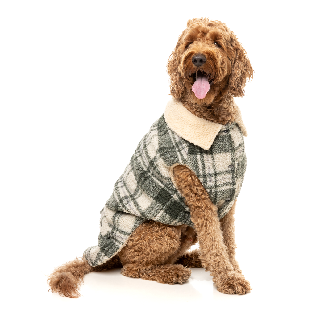 The Lumberjack - Verde denaro/Crema