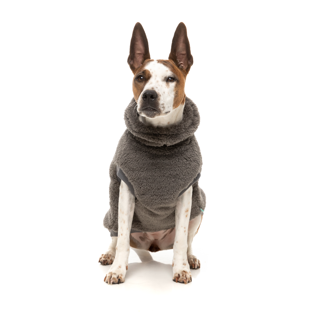 Turtle Teddy Sweater - Gunmetal Grey