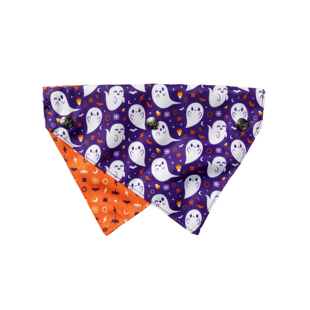 Spooky Spirits - Bandana per cani e gatti