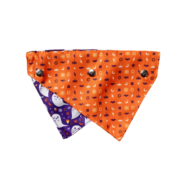 Spooky Spirits - Bandana per cani e gatti