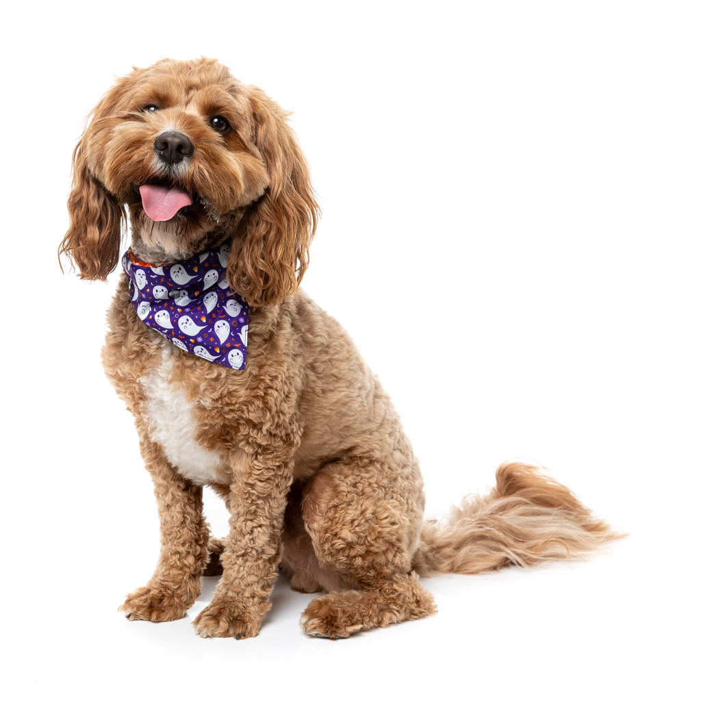Spooky Spirits - Bandana per cani e gatti