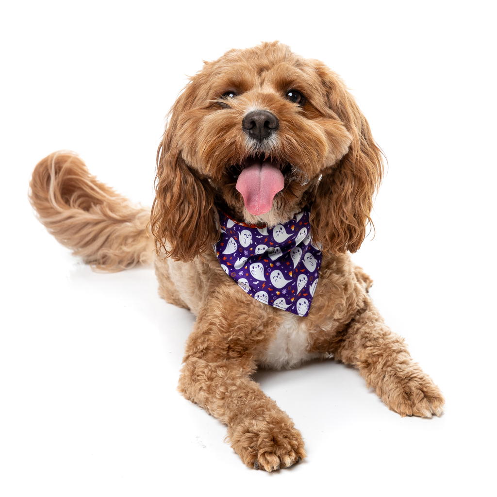 Spooky Spirits - Bandana per cani e gatti