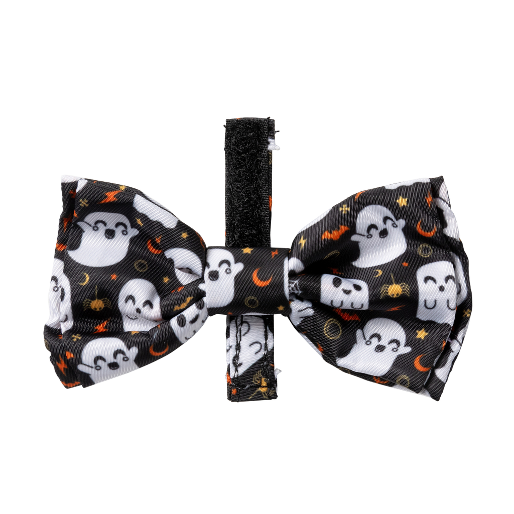 Peek-A-Boo - Papillon per cani e gatti