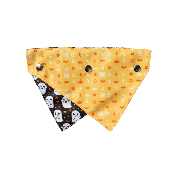 Peek-A-Boo - Bandana per cani e gatti