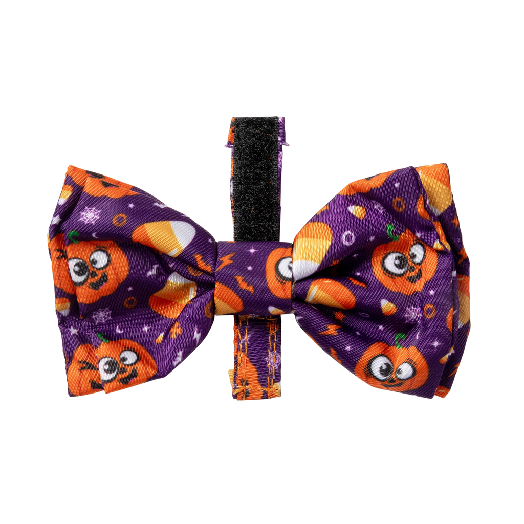 Goofy Gourds - Papillon per cani e gatti