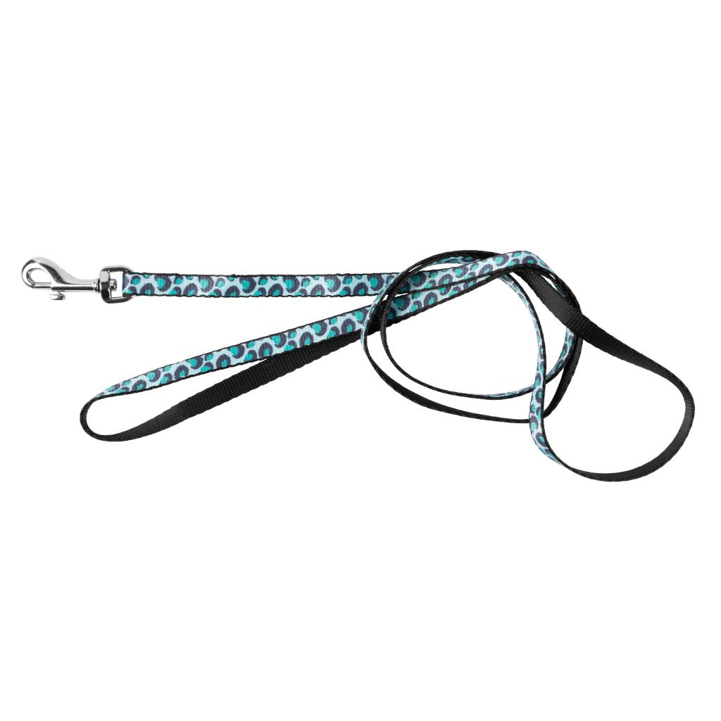 CAT WALKING SET - WILD ONE - AQUA