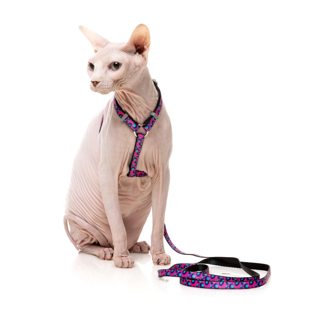 CAT WALKING SET - WILD ONE - BUBBLEGUM