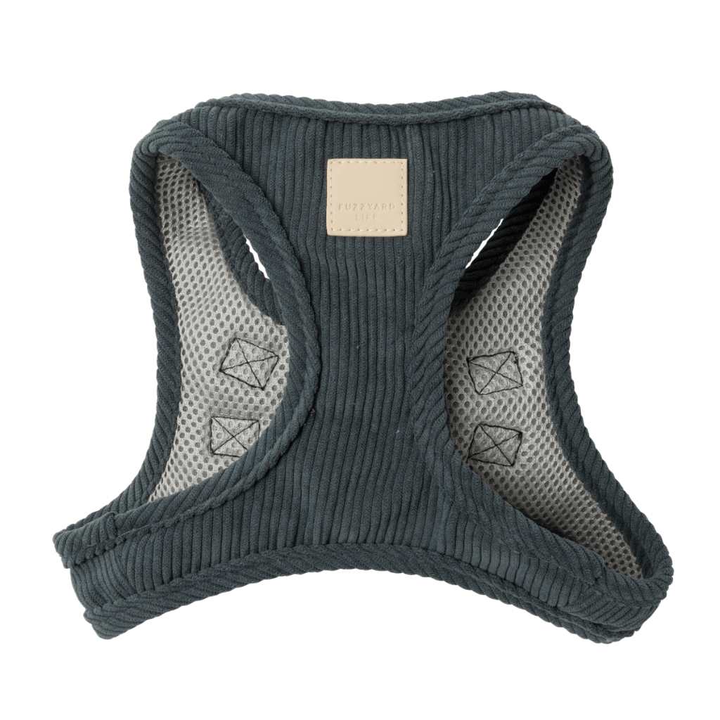 Grigio ardesia - Imbracatura Step In in velluto FuzzYard Life