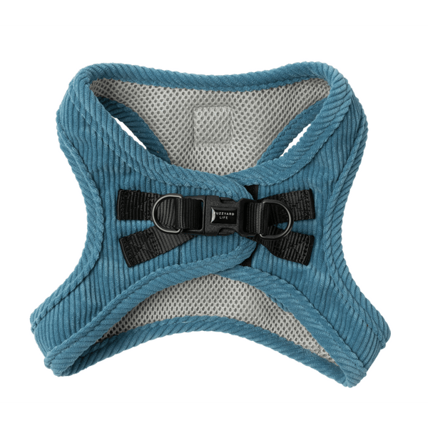 French Blue - Imbracatura Step In in velluto FuzzYard Life