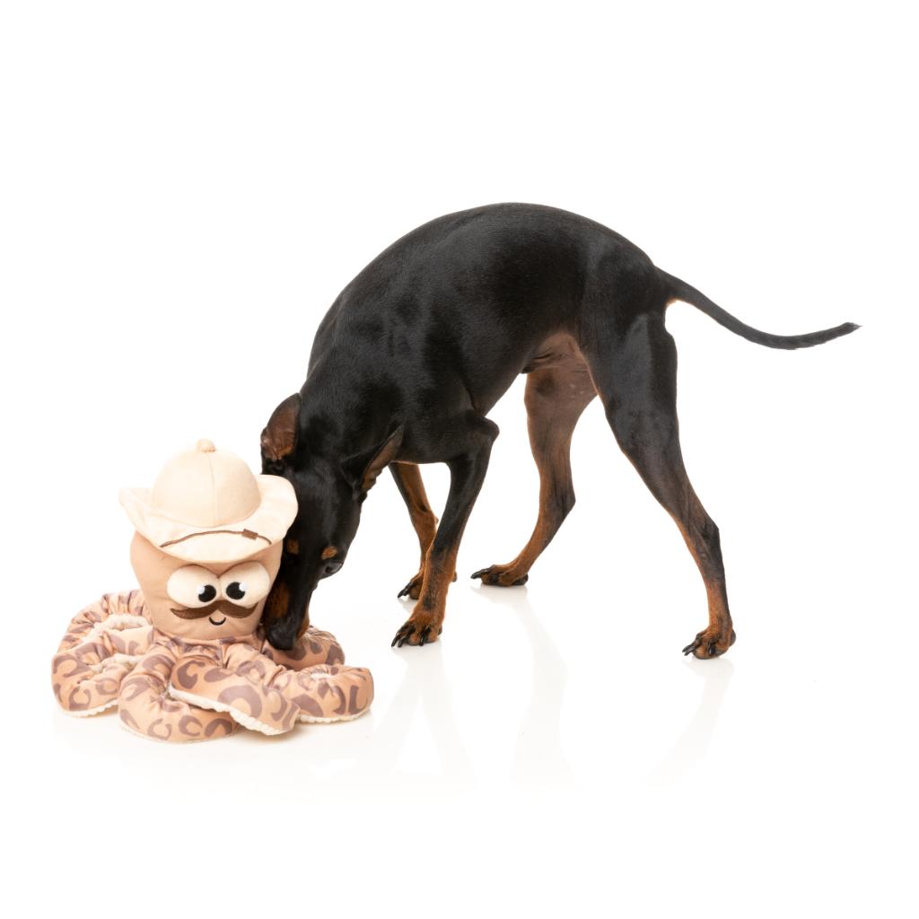 Octo Pose Dog Toy - Sir David Octoborough