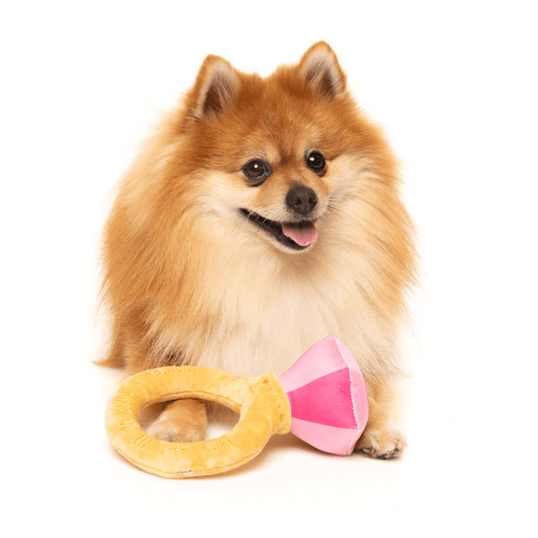 Anello Diamond In The Ruff - Collezione Love Toy - Giocattolo per cani