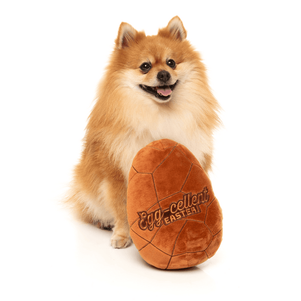 Uovo di Pasqua gigante - Giocattolo per cani