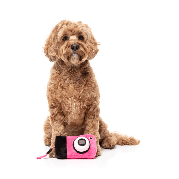 Digicam - Y2K Slumber Party - Giocattolo per cani
