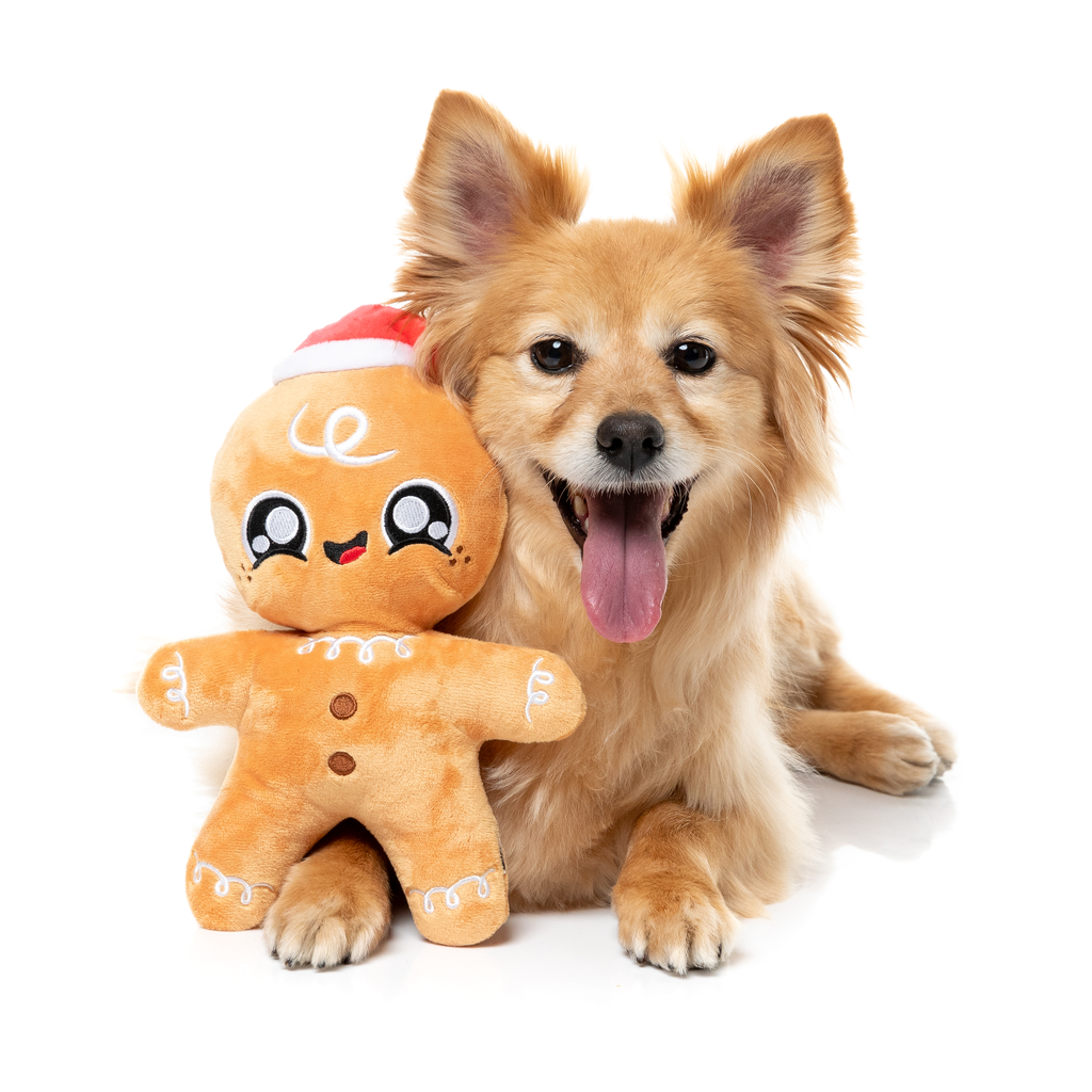 FuzzYard Juguete de Navidad - Doughminic