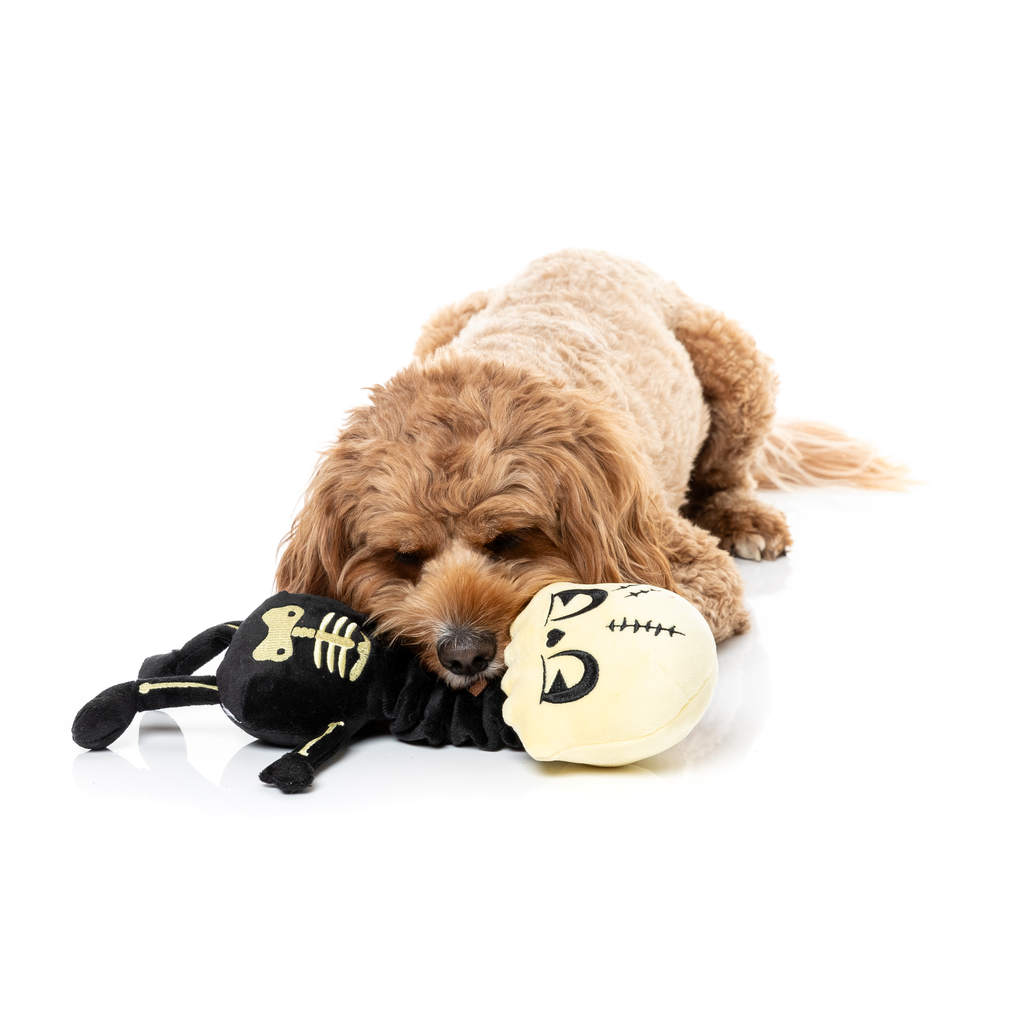 JERRY SPINEFELD - GIOCATTOLO PER CANI