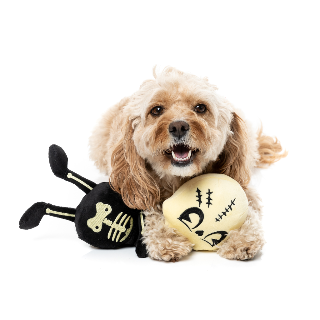 JERRY SPINEFELD - GIOCATTOLO PER CANI