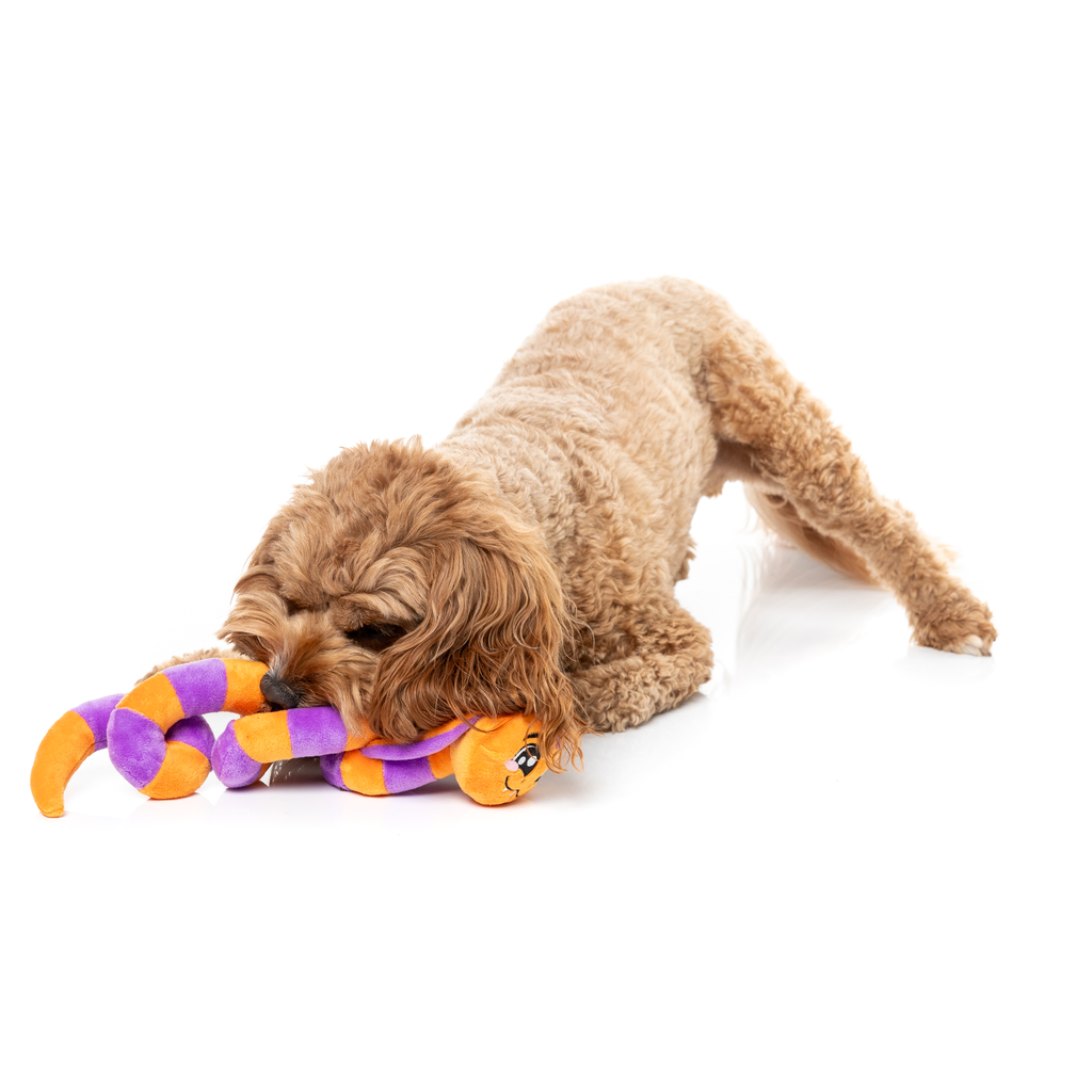 SSS-TEVEN THE SNAKE - GIOCATTOLO PER CANI