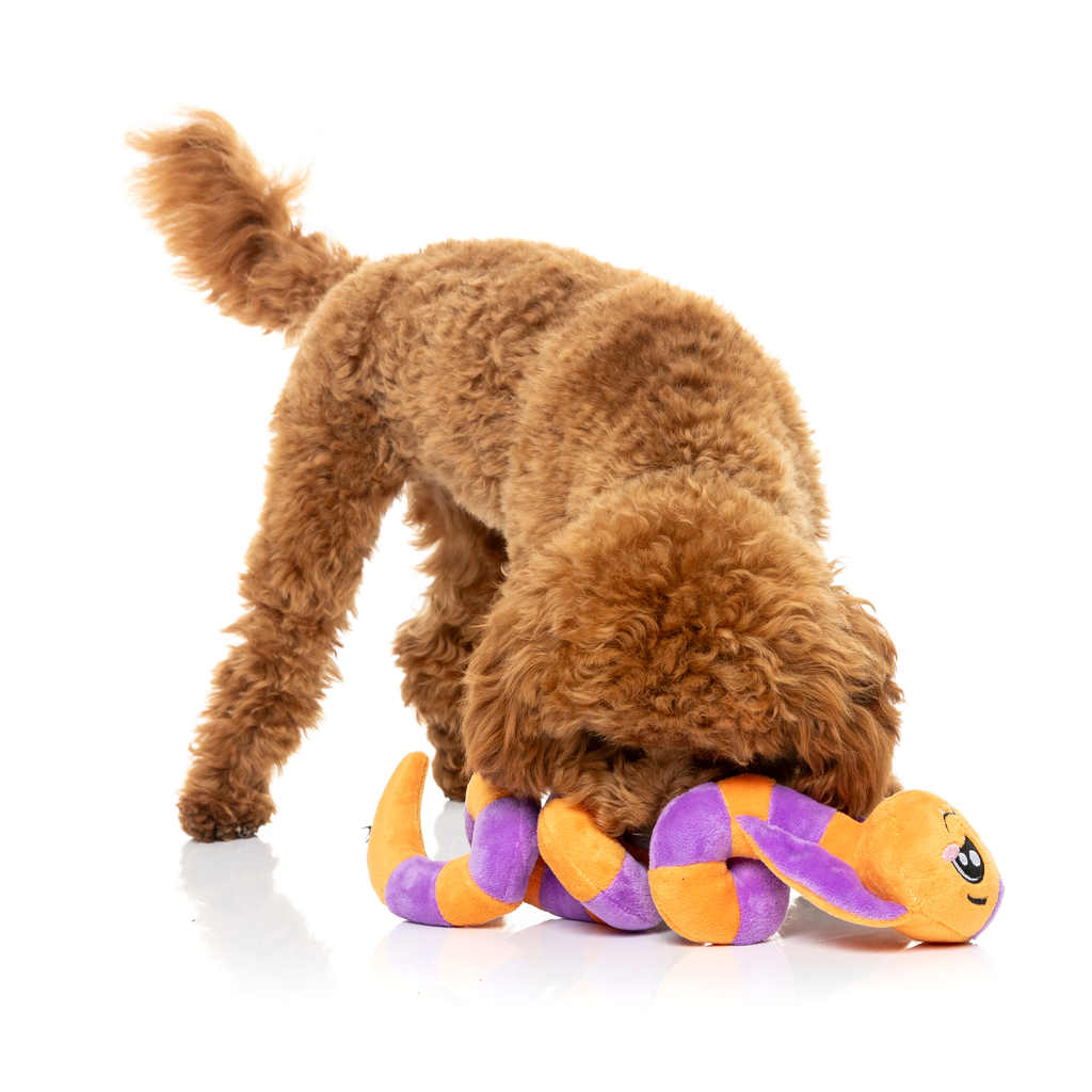 SSS-TEVEN THE SNAKE - GIOCATTOLO PER CANI