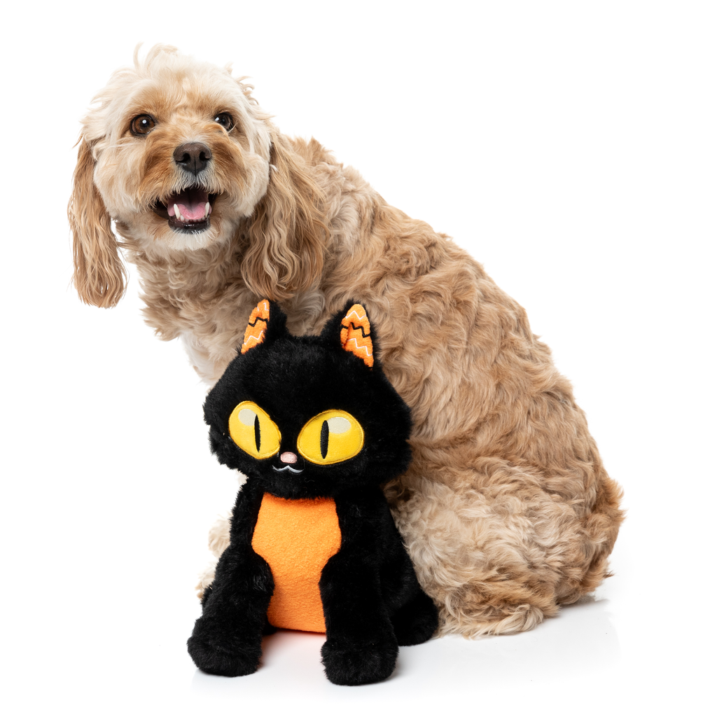 PURRSEPHONE - GIOCATTOLO PER CANI