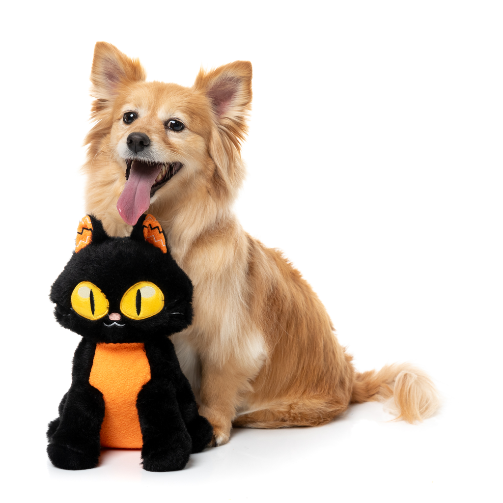 PURRSEPHONE - GIOCATTOLO PER CANI