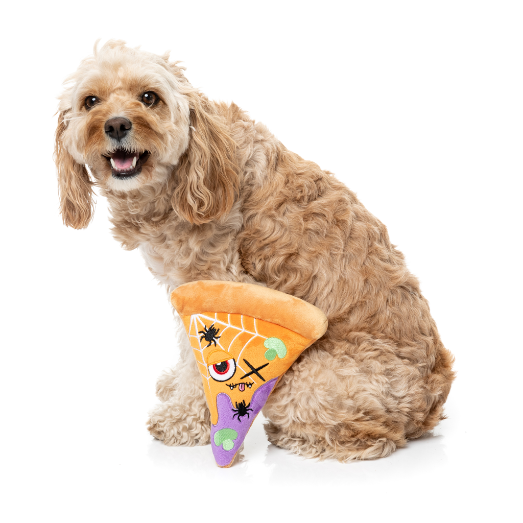 WEB-ERONI PIZZ - GIOCATTOLO PER CANI