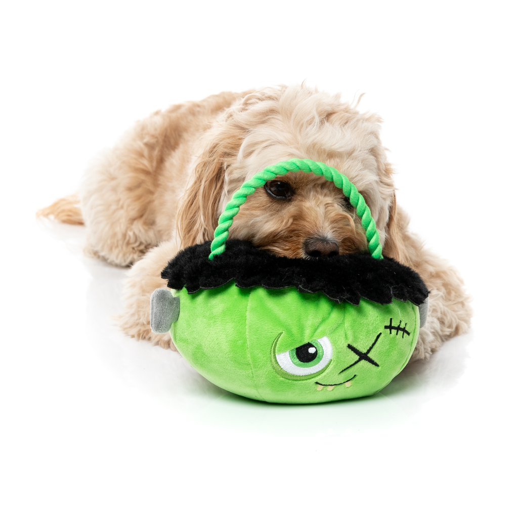 FRANKEN BASKET - GIOCATTOLO PER CANI