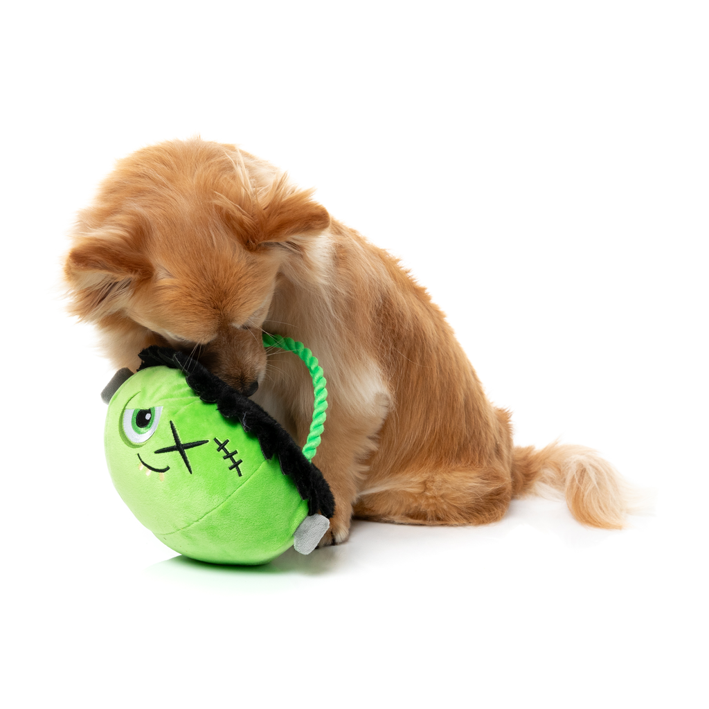 FRANKEN BASKET - GIOCATTOLO PER CANI