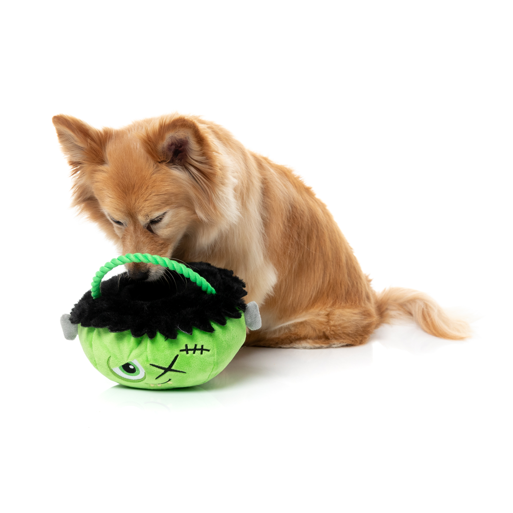 FRANKEN BASKET - GIOCATTOLO PER CANI