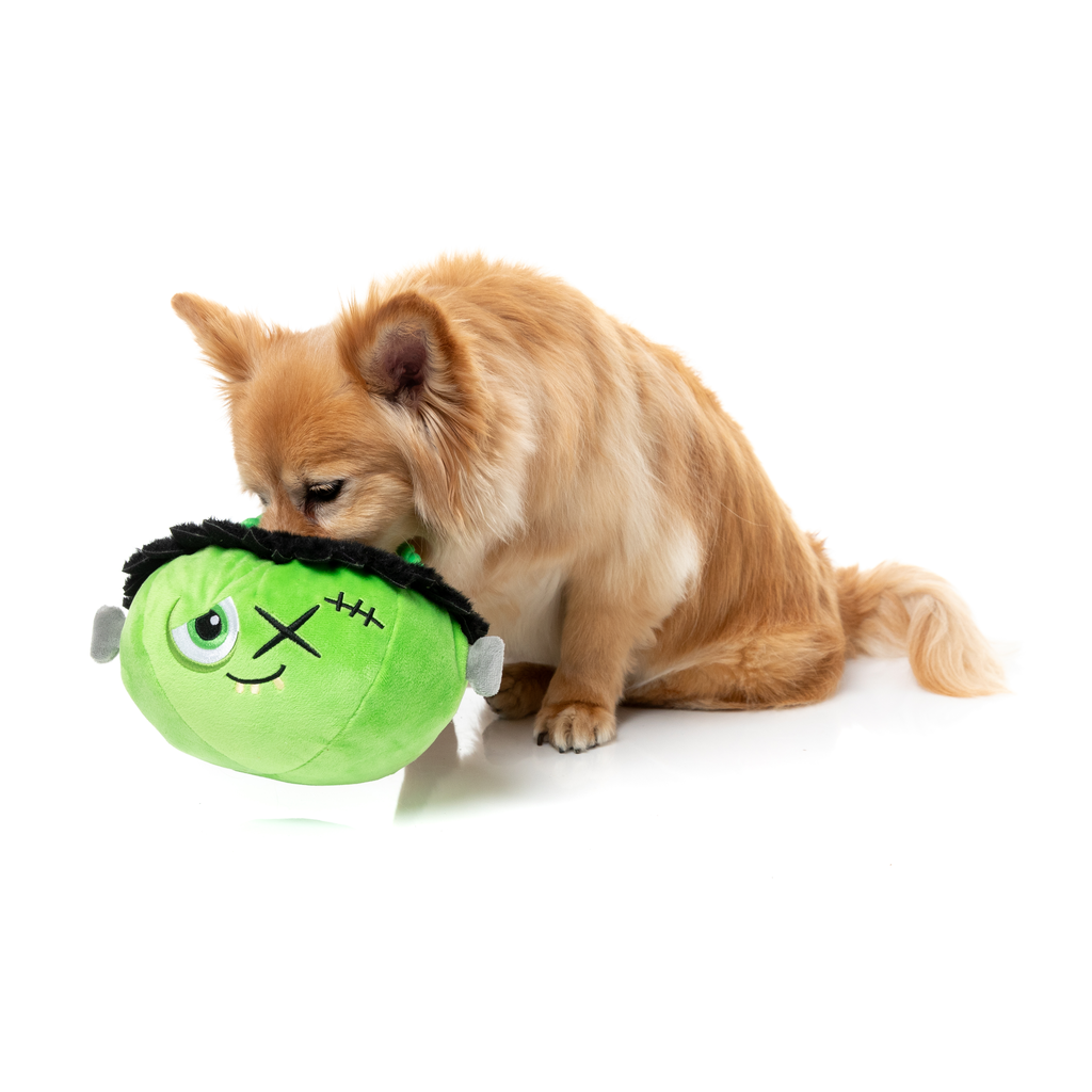 FRANKEN BASKET - GIOCATTOLO PER CANI