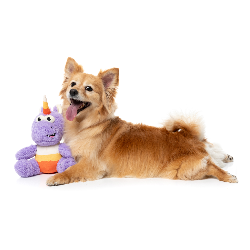 CANDY CORN ELECTRA - GIOCATTOLO PER CANI