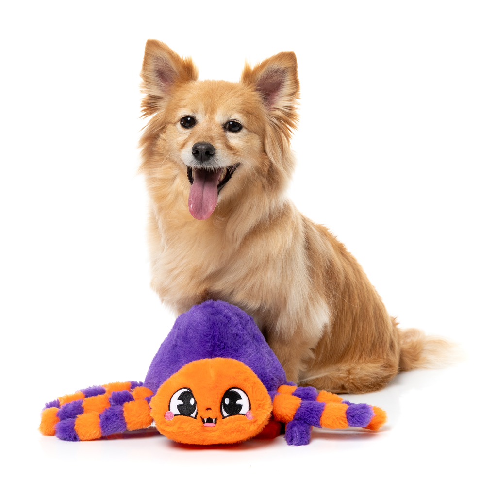 TARANTINA THE SPIDER - GIOCATTOLO PER CANI