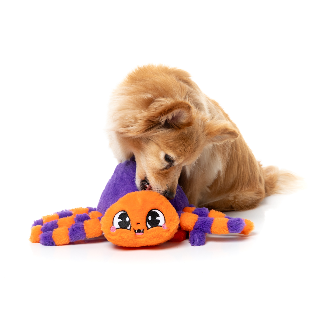 TARANTINA THE SPIDER - GIOCATTOLO PER CANI