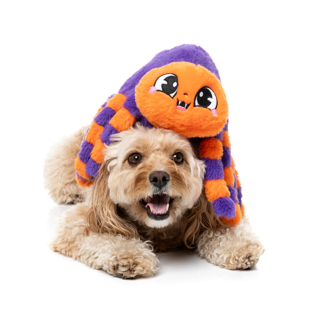 TARANTINA THE SPIDER - GIOCATTOLO PER CANI