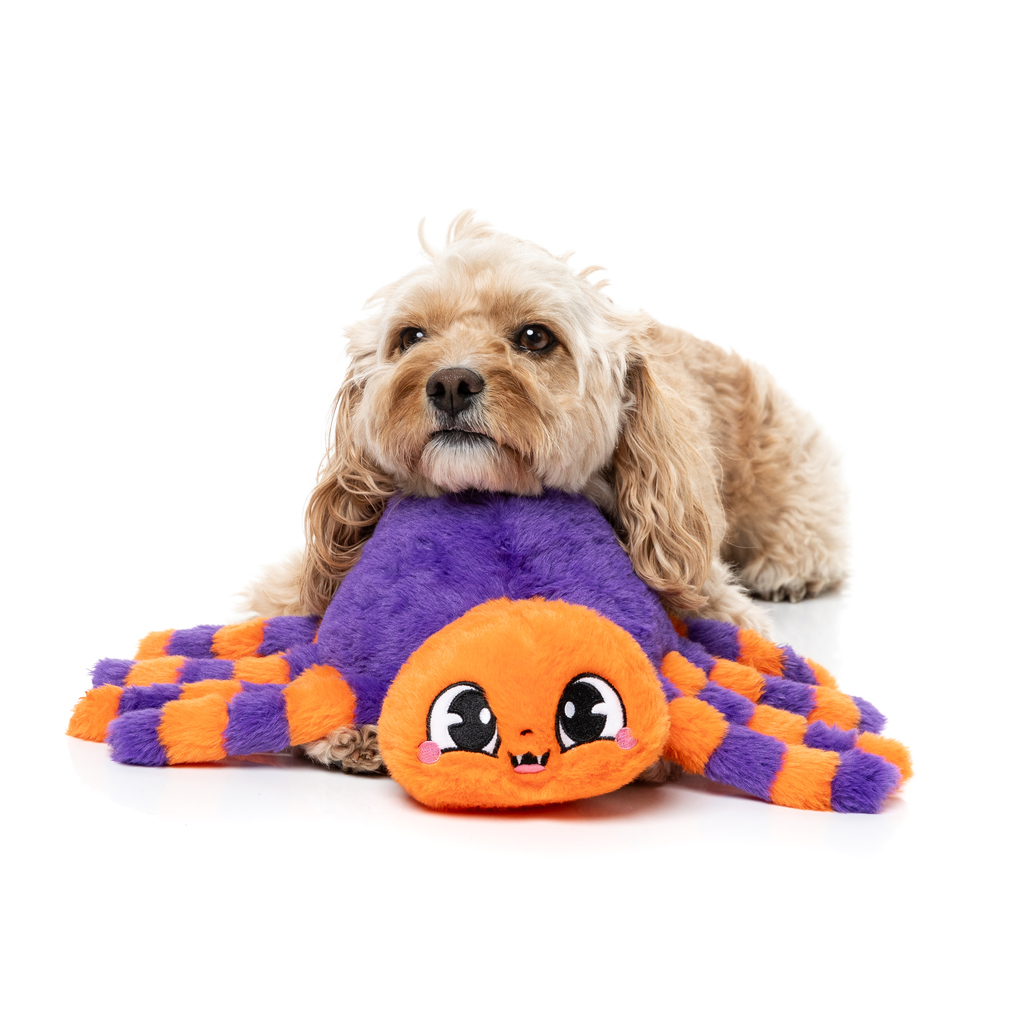 TARANTINA THE SPIDER - GIOCATTOLO PER CANI