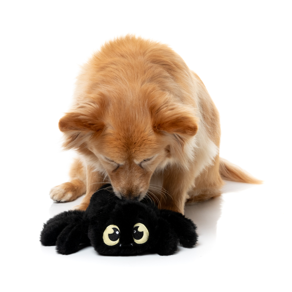 WEBASTIAN THE RED BACK - GIOCATTOLO PER CANI