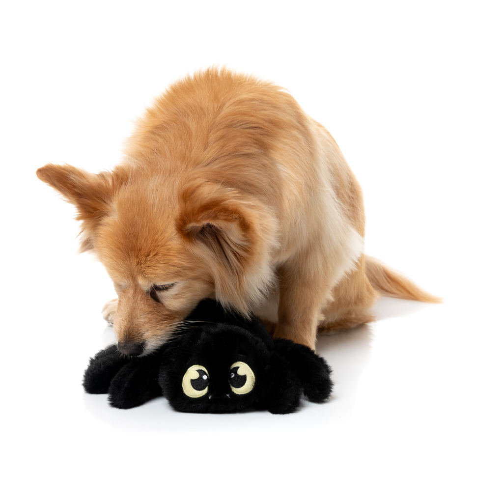 WEBASTIAN THE RED BACK - GIOCATTOLO PER CANI